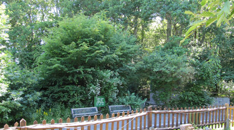 Glyndebourne Wood platform