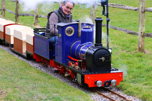 7.25 gauge locomotive for sale