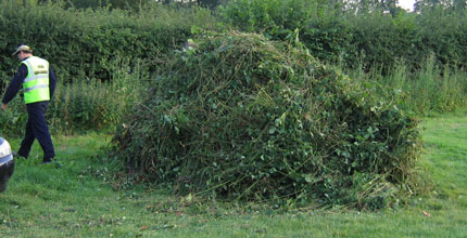 Glyndebourne Wood Cutting Clearance