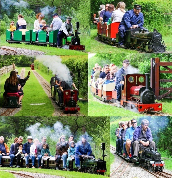 Steam Gala 26th May 2019